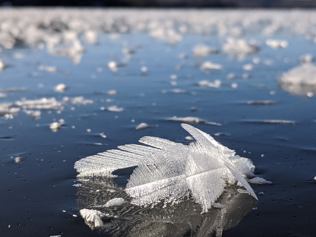 ice crystal Papineau Lake Dec 2020