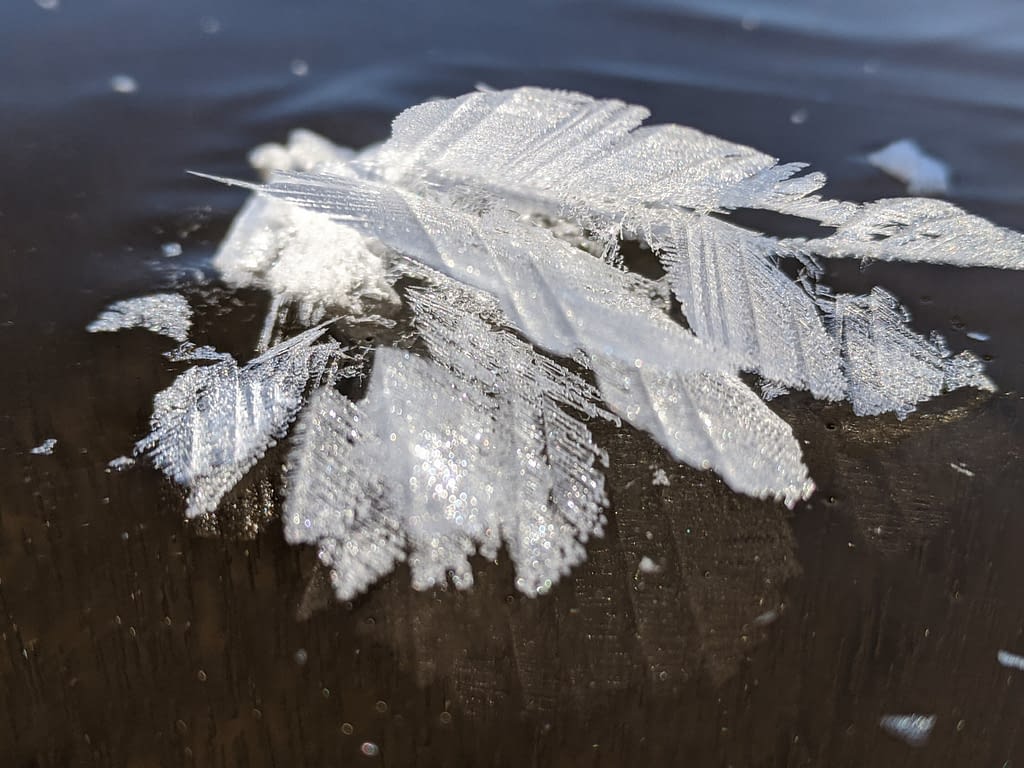 leaf crystal 6 Papineau Lake Dec 18 2020