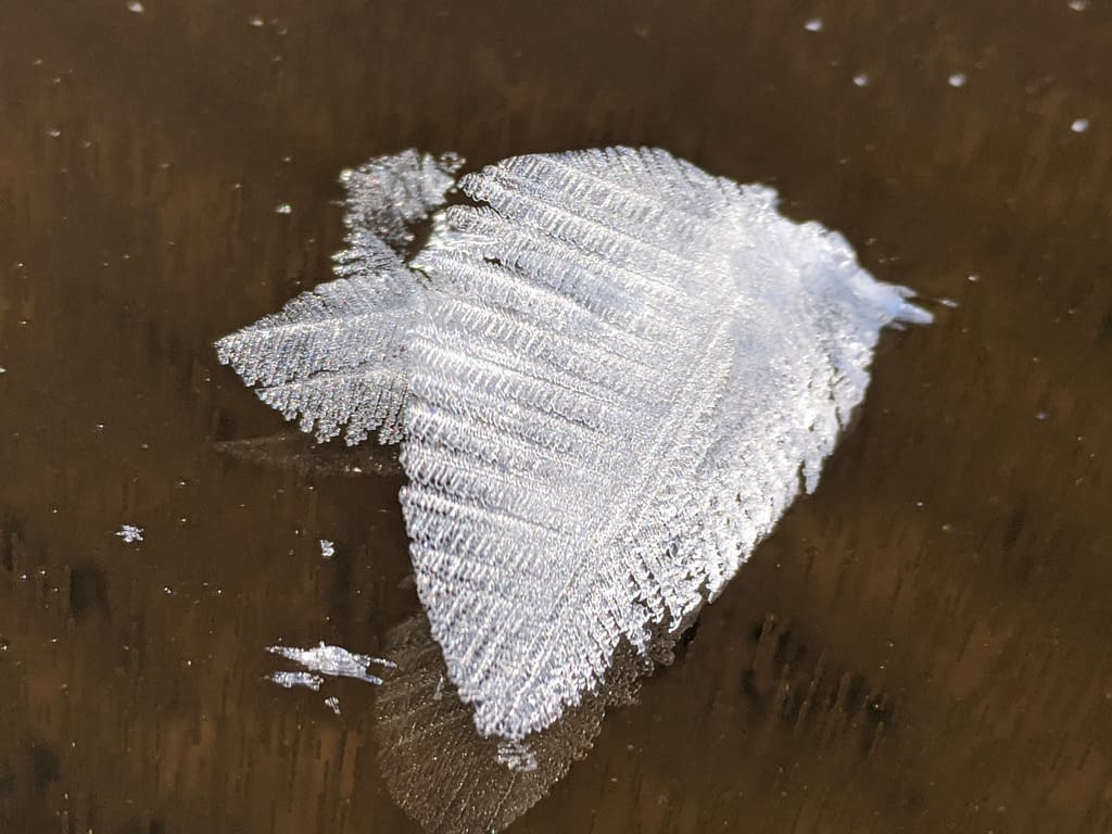 leaf crystal 7 Papineau Lake Dec 2020