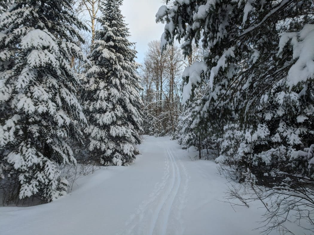 Leaf Lake Ski Trail Jan 19, 2020